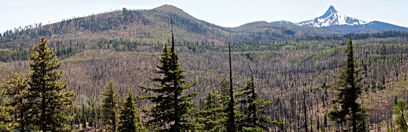 [Photos stitched together with snowless Cache Mountain on the left looking almost as tall as the glacier laden Mt. Washington on the right. Forest fire evidence all throughout the foreground.]